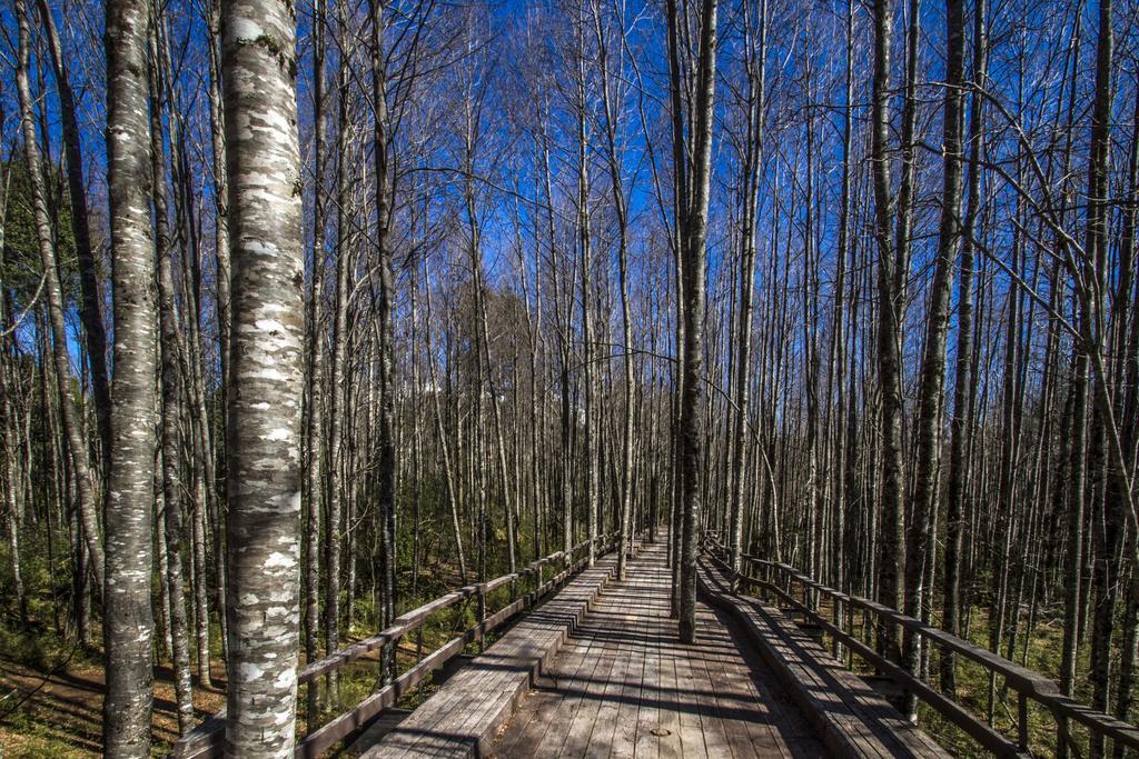 Huilo Huilo Nawelpi Lodge Пуерто-Фуй Екстер'єр фото