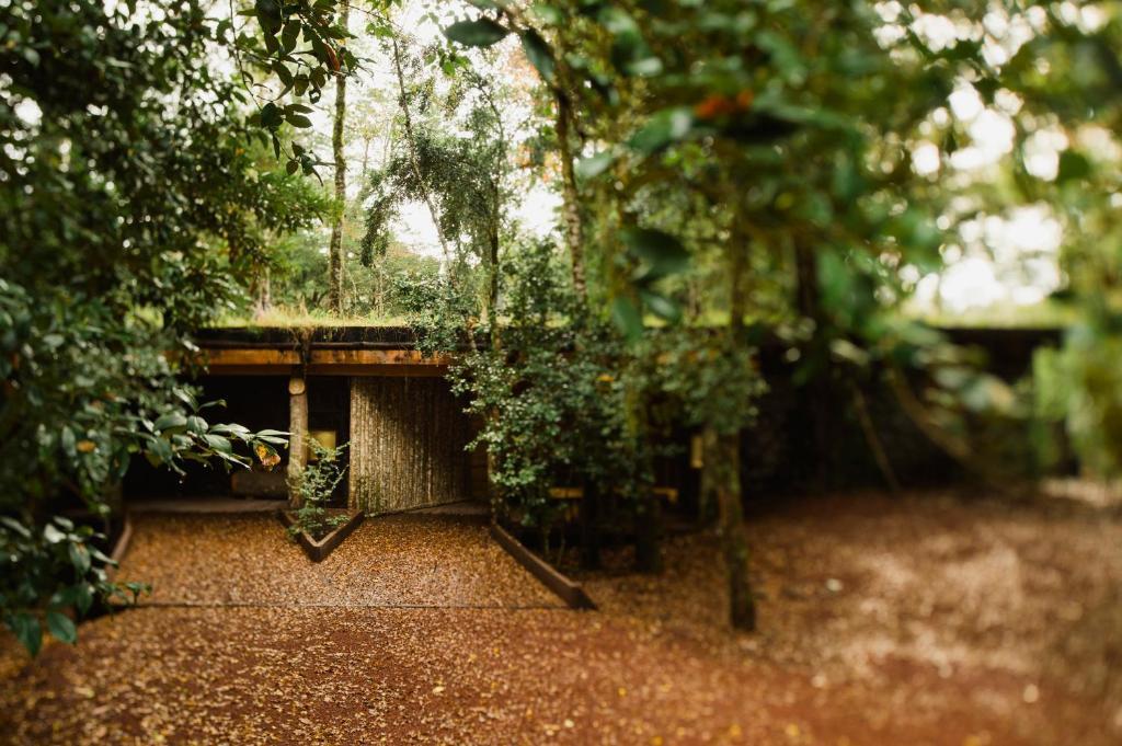 Huilo Huilo Nawelpi Lodge Пуерто-Фуй Екстер'єр фото