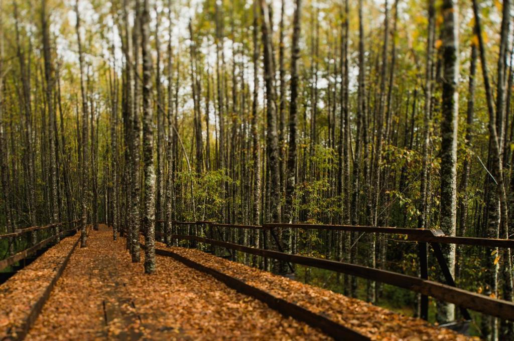 Huilo Huilo Nawelpi Lodge Пуерто-Фуй Екстер'єр фото