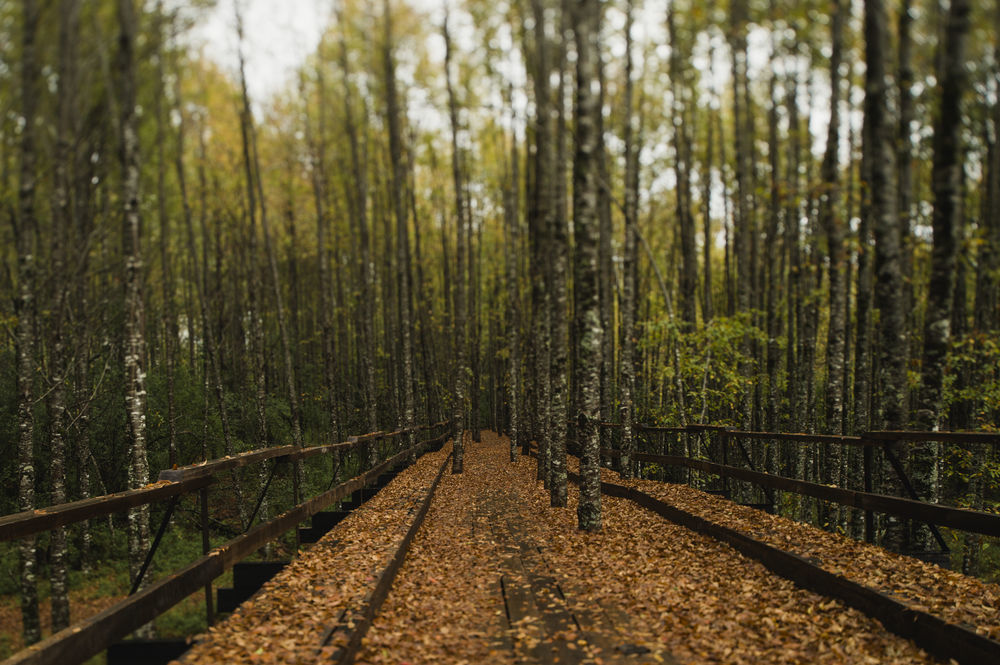 Huilo Huilo Nawelpi Lodge Пуерто-Фуй Екстер'єр фото